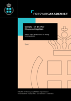 Somalia: et år efter Etiopiens indgriben