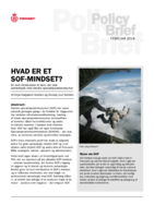 Hvad er et SOF-mindset?: En kort introduktion til dem, der skal samarbejde med danske specialoperationsstyrker
