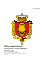 NATO’s strategiske beslutninger: Defence Investment Pledge og Danmarks strategiske handlerum