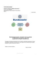 Beslutningsprocesser i forsvaret i teori og praksis: En eksemplarisk undersøgelse på baggrund af projektet Joint Fire Support i det tyske forsvar