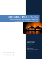 Brænder det stadig?: Højtspecialiserede medarbejderes møde med organisatorisk forandring i forsvaret