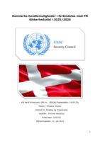Danmarks handlemuligheder i forbindelse med FN  Sikkerhedsråd i 2025/2026
